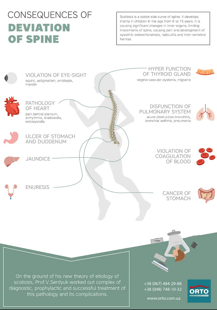 Spine organ innervation scheme — Prof. Serdyuk